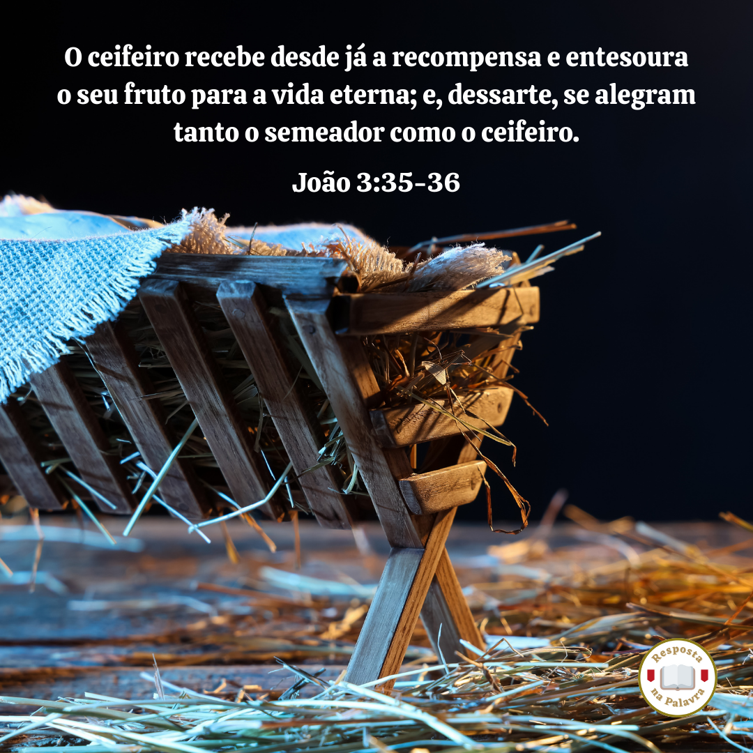 Mensagem de Natal: Você se alegra com a semente?